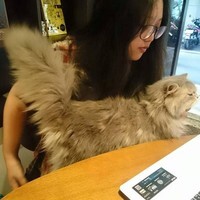 呂季儒圖片